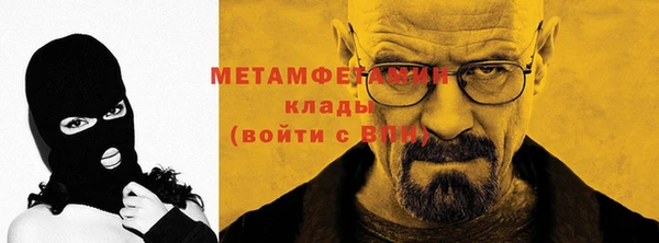 ГАЛЛЮЦИНОГЕННЫЕ ГРИБЫ Ельня
