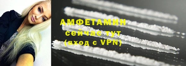 ГАЛЛЮЦИНОГЕННЫЕ ГРИБЫ Ельня