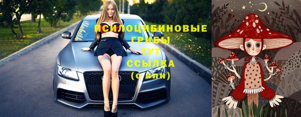 а пвп мука Елизово