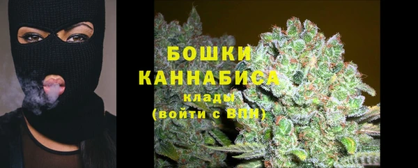 прущие крисы Заводоуковск